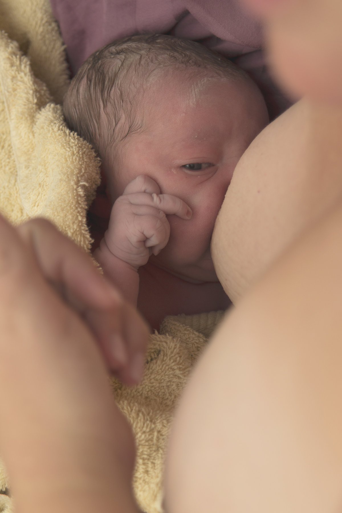 Bellies2Babies session