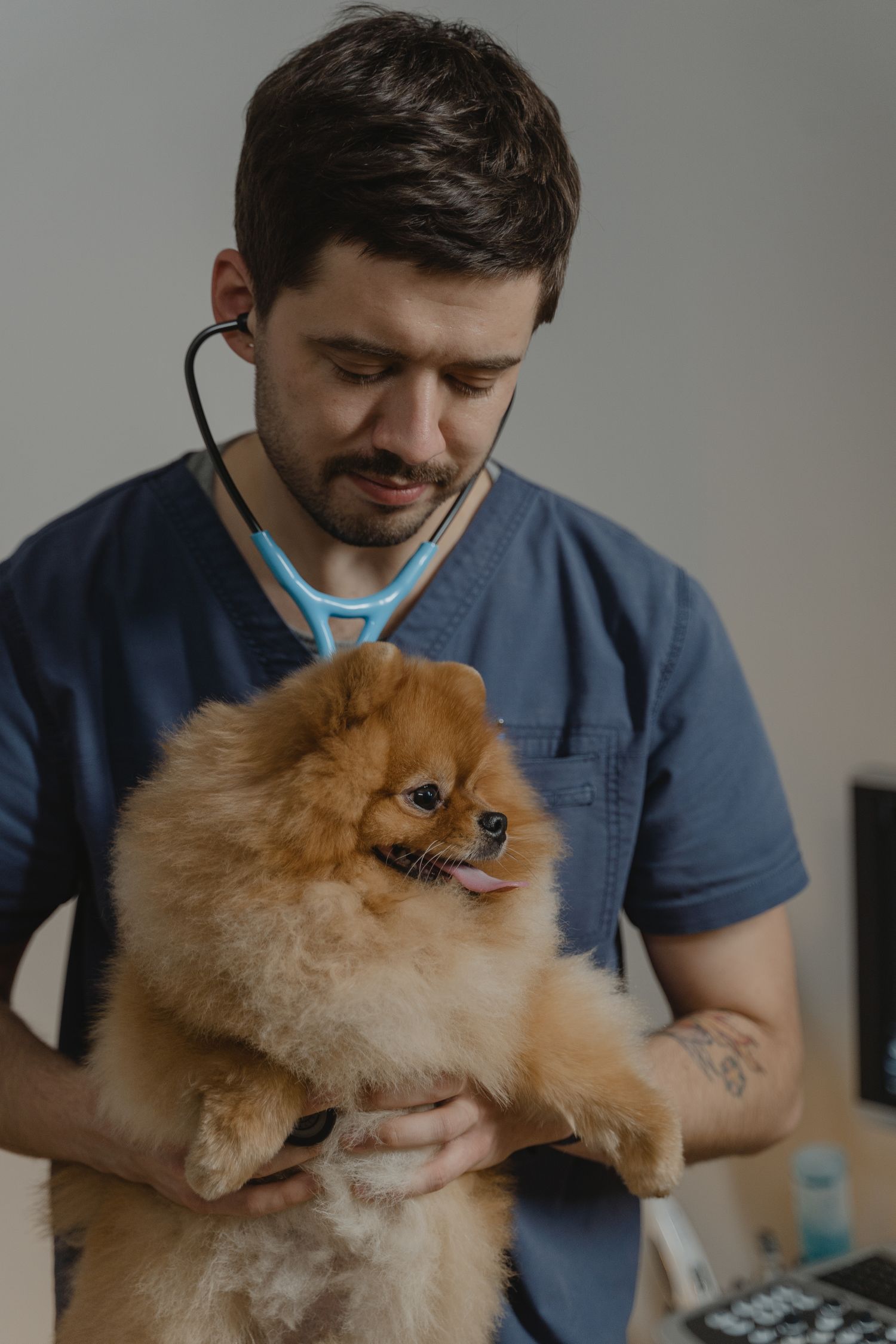 A veterinarian caring for a dog at Byron Animal Clinic
