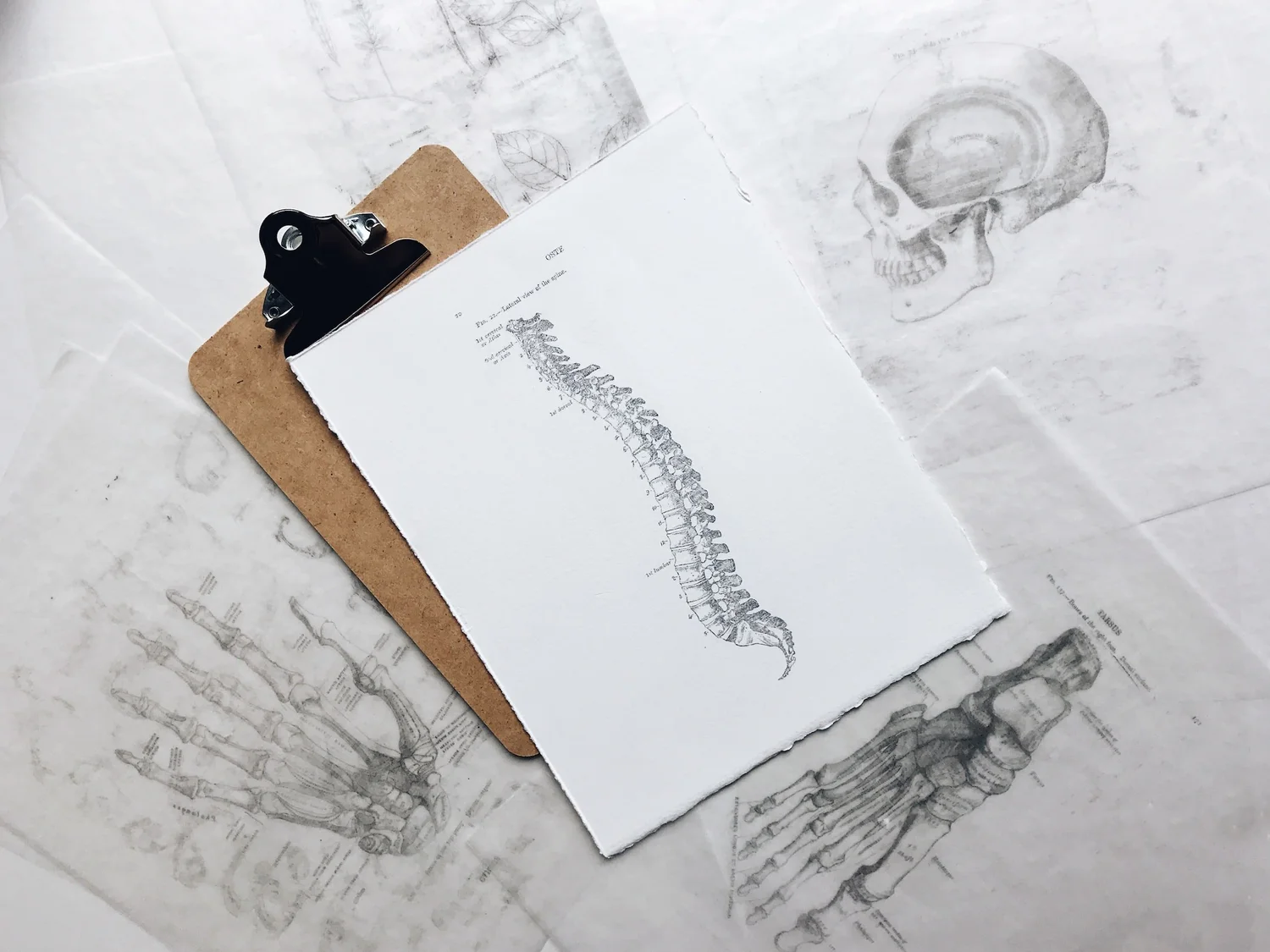 Pediatric chiropractic for infants and children