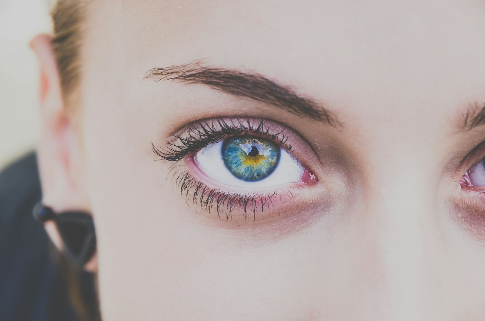 Close up of a lifted, defined eye, the signature Lash Lady look in London Ontario