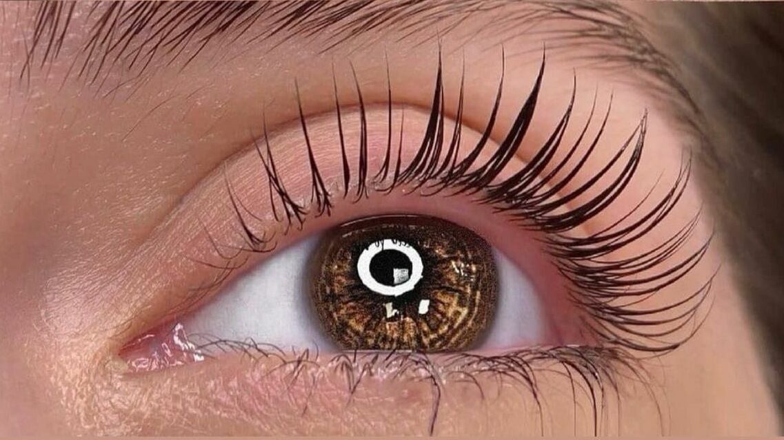 A natural lifted lash set by Zhanna at Lash Lady, London Ontario