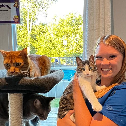 Office Management, Reception & Day-to-Day Operations, Oak West Animal Clinic