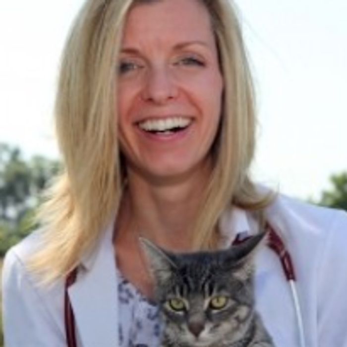 Dr. Shannon Moffatt, DVM · Co-Owner, at Oak West Animal Clinic