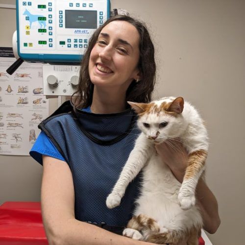 Veterinary Assistant, Boarding & Daily Care, Oak West Animal Clinic