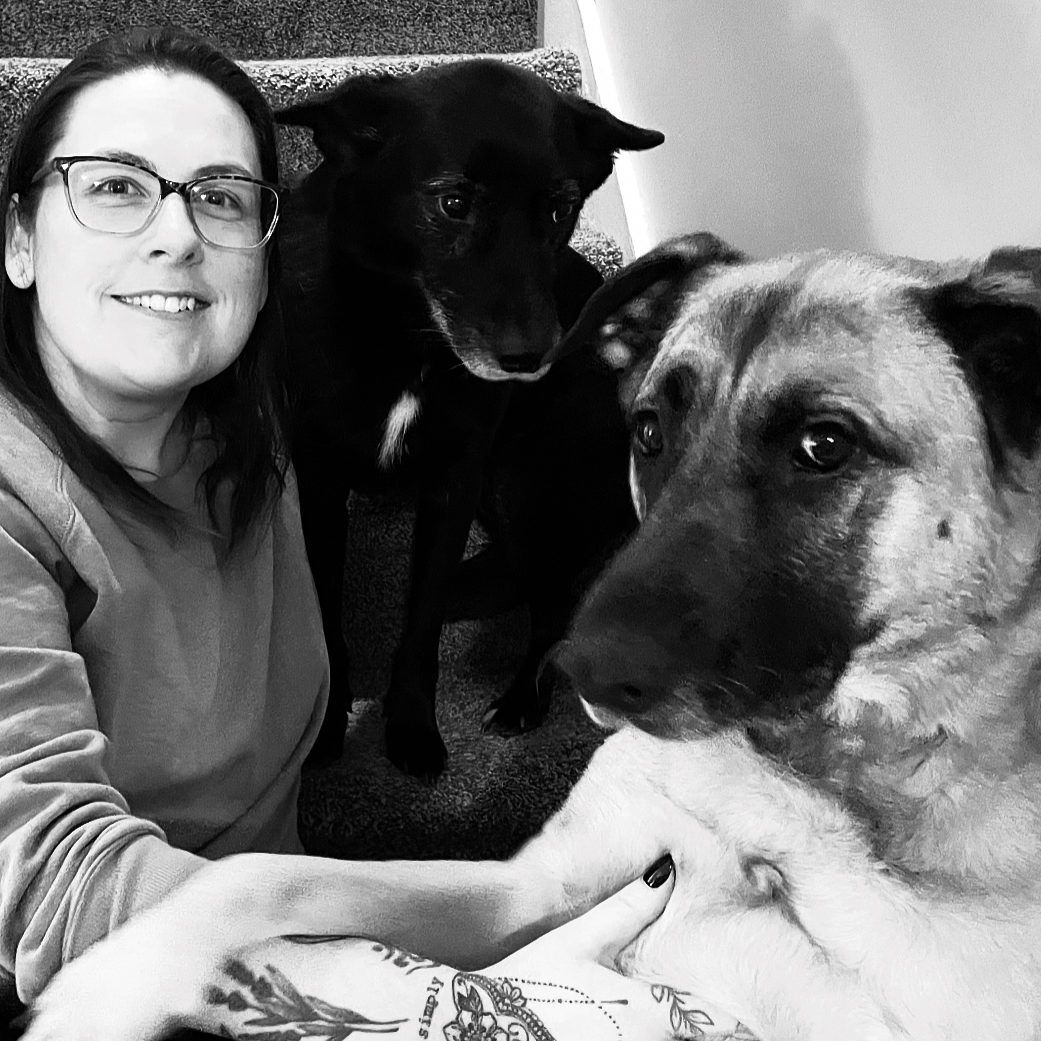 Veterinary Assistant, Patient Care & Comfort, Oak West Animal Clinic