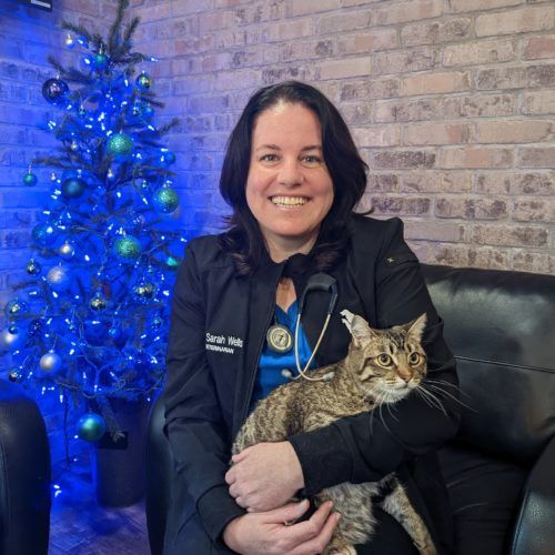 Dr. Sarah Wells, DVM · Associate Veterinarian, at Oak West Animal Clinic