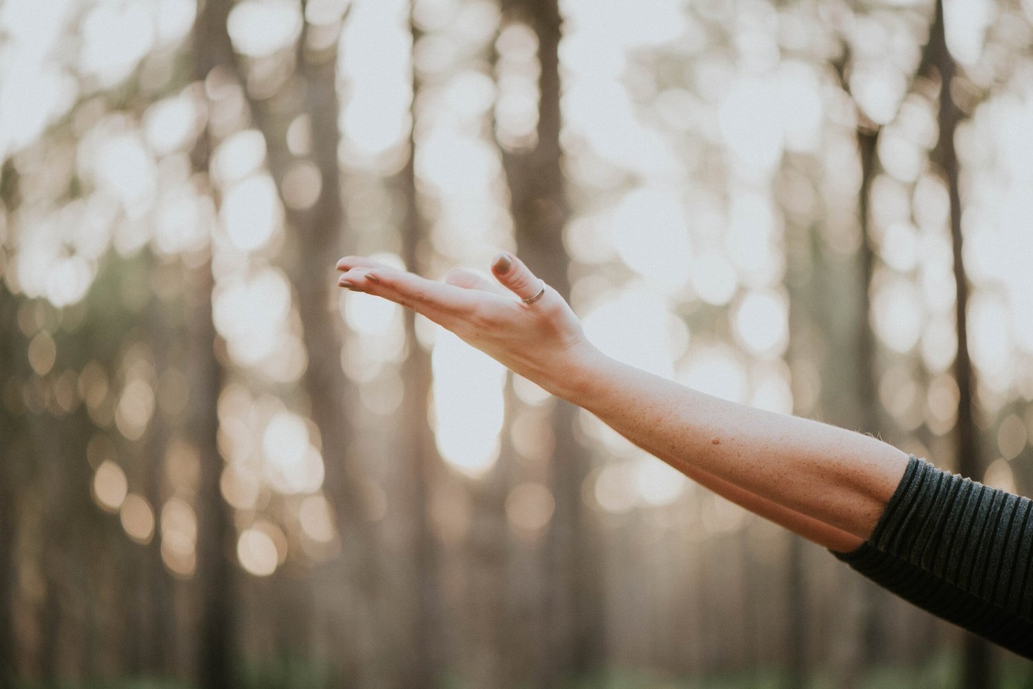 Rebirth Wellness Byron Village, Couples counselling in London Ontario.