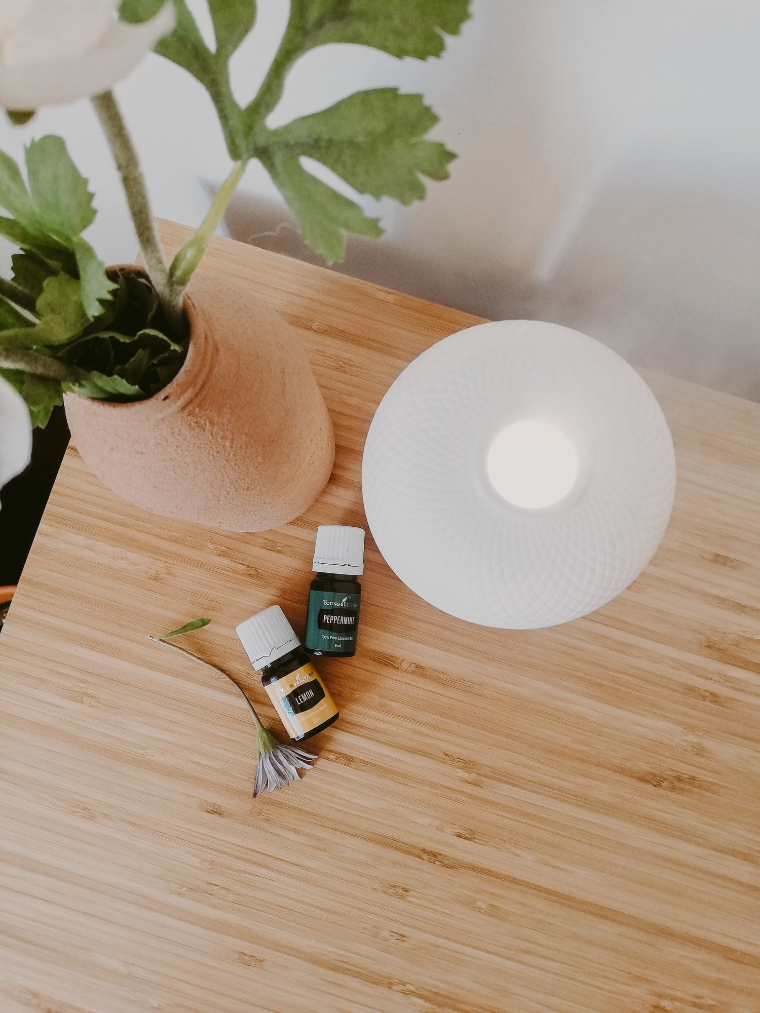 Rebirth Wellness Byron Village, Individual counselling (16+) in London Ontario.
