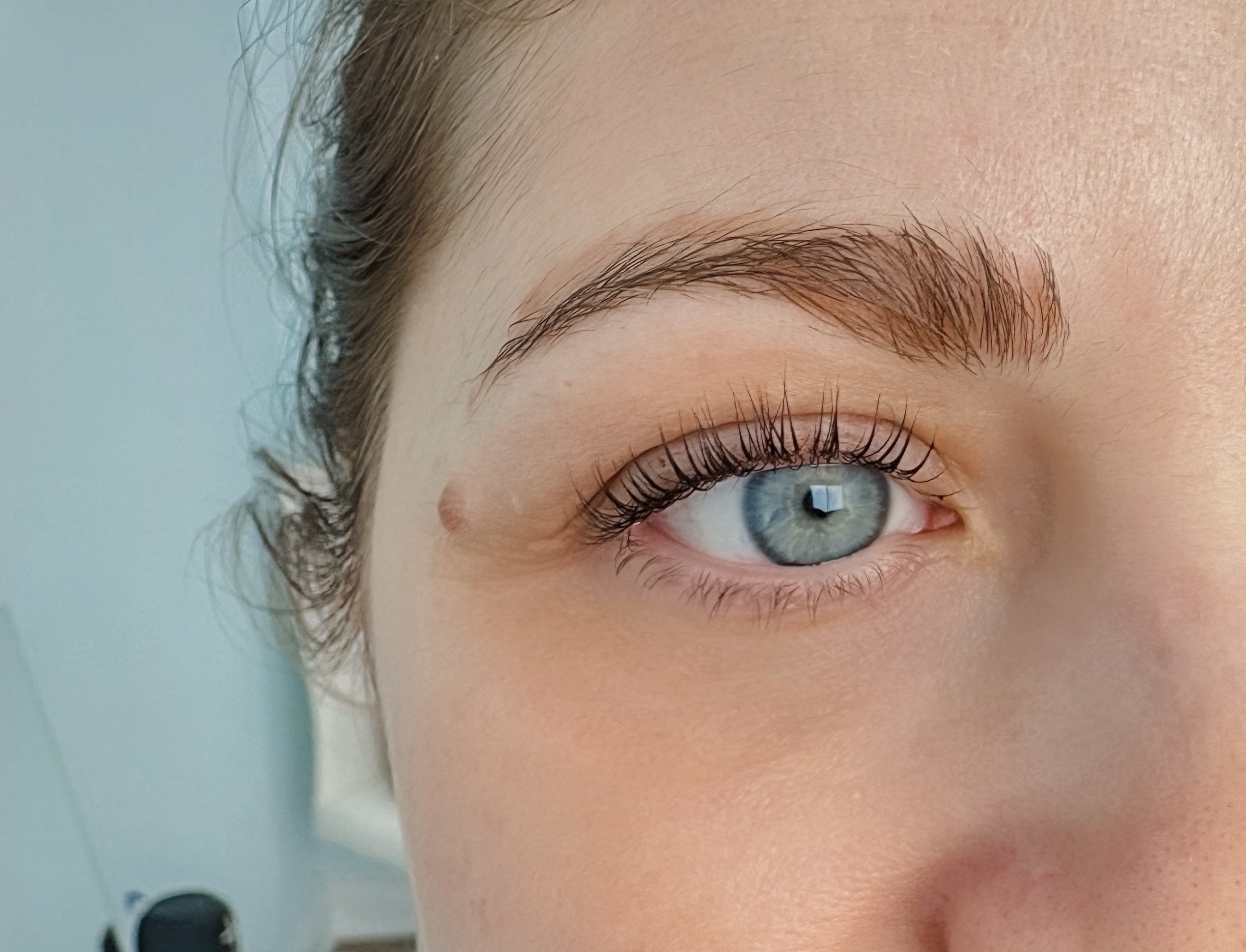Close-up of a natural lash lift and groomed brow by The Lash & Brow Co. in London, Ontario