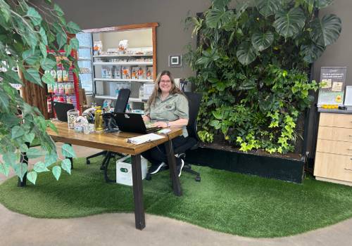The park-style reception at Westmount Neighbourhood Pet Clinic, with a living plant wall, grass turf and a wooden picnic-table desk