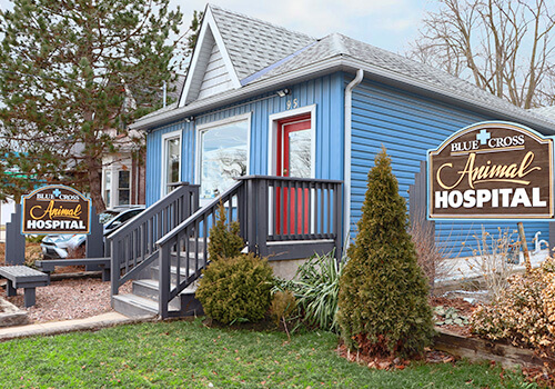 Blue Cross Animal Hospital clinic exterior