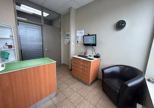 An exam room at Westmount Neighbourhood Pet Clinic